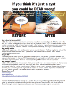 MCC Informational Flyer